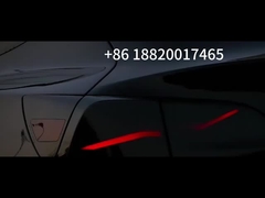 테슬라 모델 3 뒷등